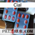 Cial 05